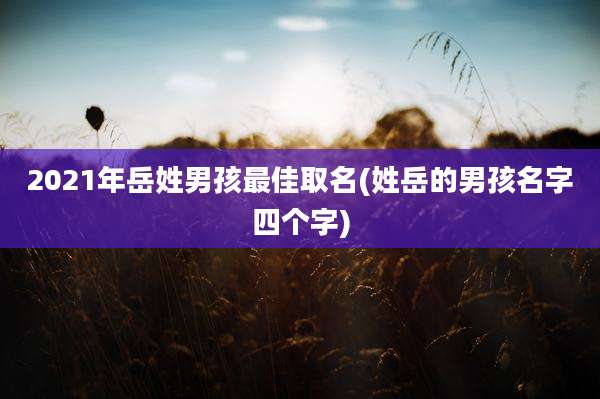 2021年岳姓男孩最佳取名(姓岳的男孩名字四个字)