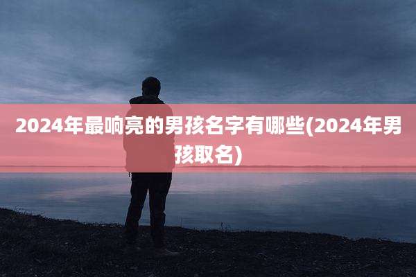 2024年最响亮的男孩名字有哪些(2024年男孩取名)