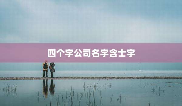 四个字公司名字含士字