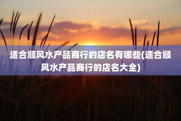 适合顺风水产品商行的店名有哪些(适合顺风水产品商行的店名大全)