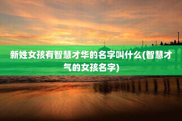 新姓女孩有智慧才华的名字叫什么(智慧才气的女孩名字)