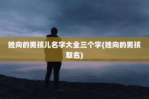 姓向的男孩儿名字大全三个字(姓向的男孩取名)