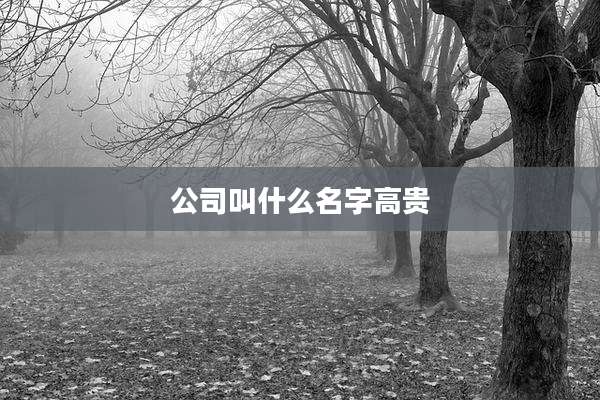 公司叫什么名字高贵