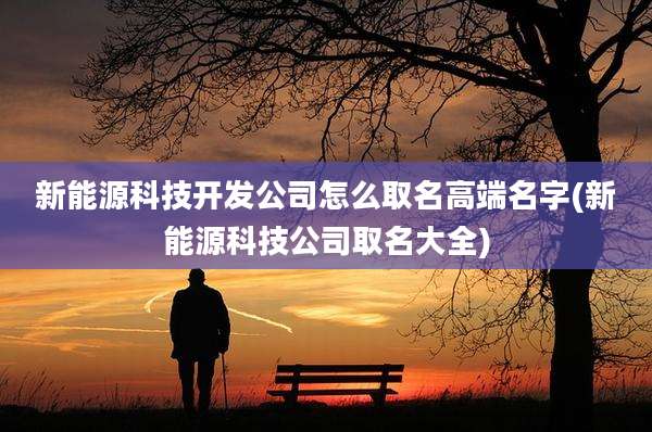 新能源科技开发公司怎么取名高端名字(新能源科技公司取名大全)