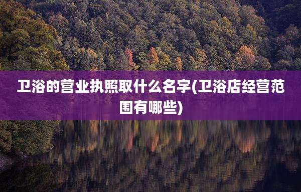卫浴的营业执照取什么名字(卫浴店经营范围有哪些)