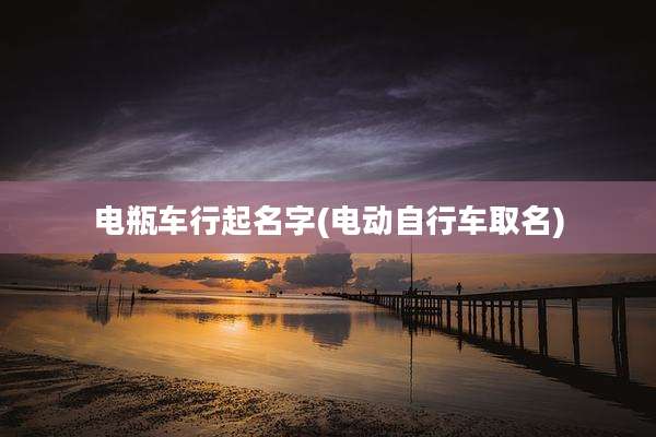 电瓶车行起名字(电动自行车取名)