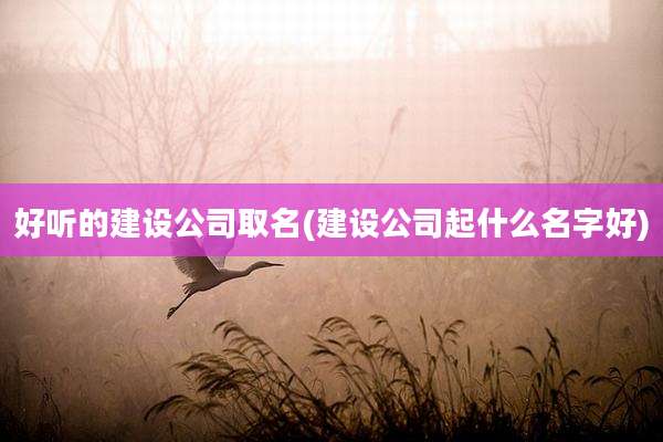 好听的建设公司取名(建设公司起什么名字好)