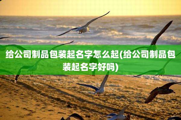 给公司制品包装起名字怎么起(给公司制品包装起名字好吗)