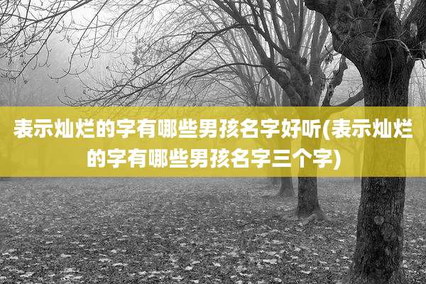 表示灿烂的字有哪些男孩名字好听(表示灿烂的字有哪些男孩名字三个字)
