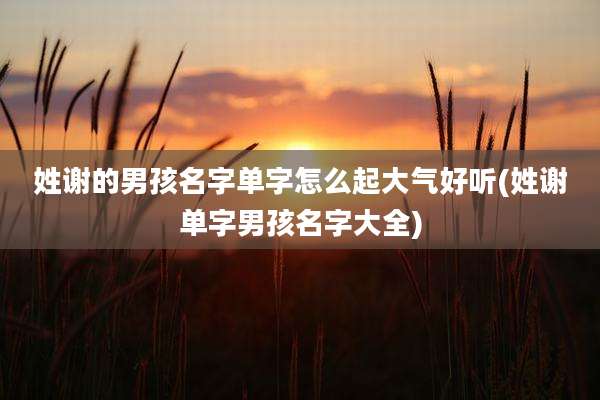 姓谢的男孩名字单字怎么起大气好听(姓谢单字男孩名字大全)
