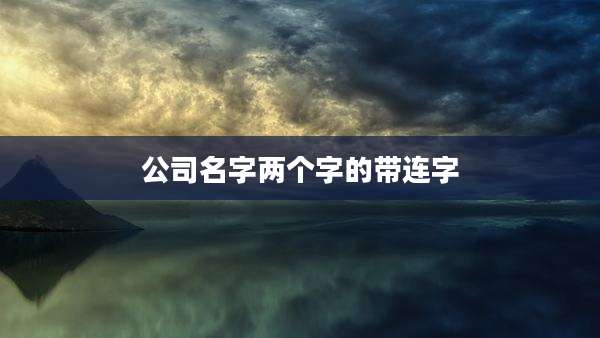 公司名字两个字的带连字
