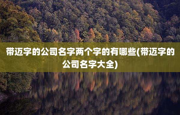 带迈字的公司名字两个字的有哪些(带迈字的公司名字大全)