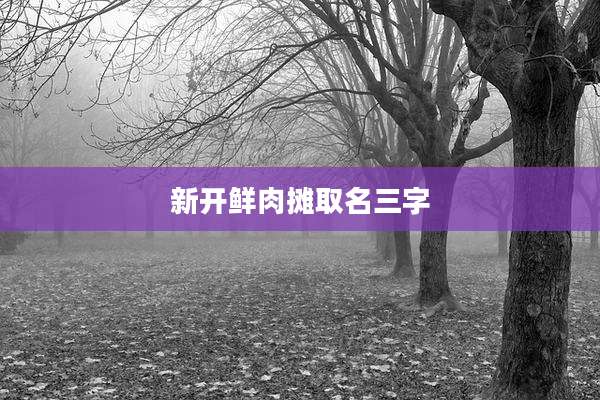 新开鲜肉摊取名三字