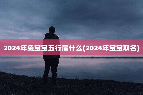 2024年兔宝宝五行属什么(2024年宝宝取名)