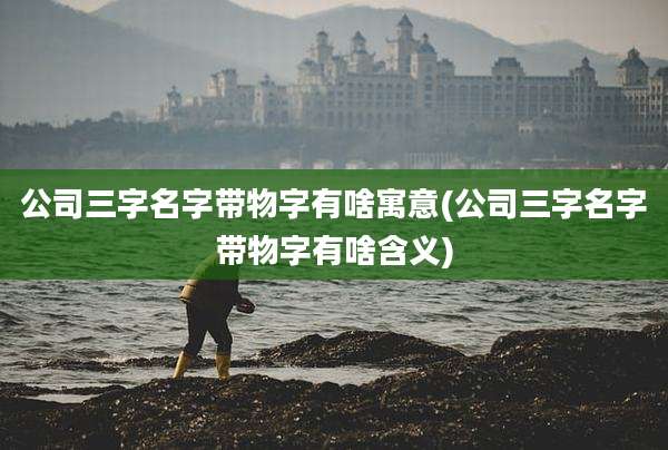公司三字名字带物字有啥寓意(公司三字名字带物字有啥含义)