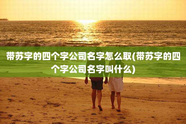 带苏字的四个字公司名字怎么取(带苏字的四个字公司名字叫什么)