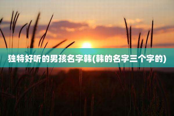 独特好听的男孩名字韩(韩的名字三个字的)