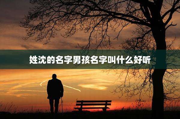 姓沈的名字男孩名字叫什么好听
