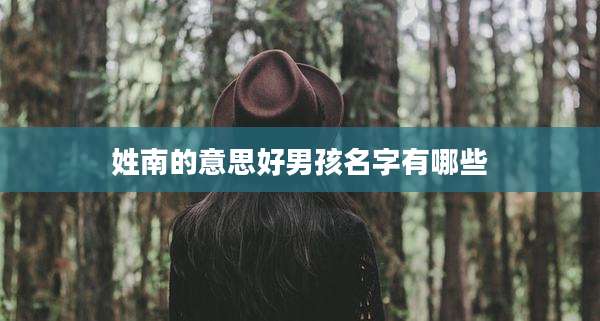 姓南的意思好男孩名字有哪些