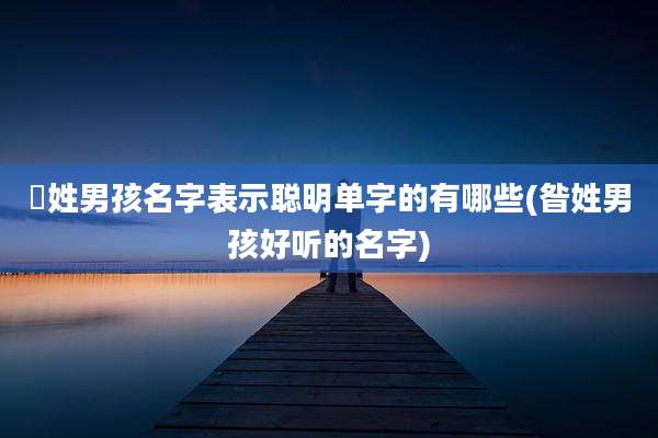 嵺姓男孩名字表示聪明单字的有哪些(昝姓男孩好听的名字)