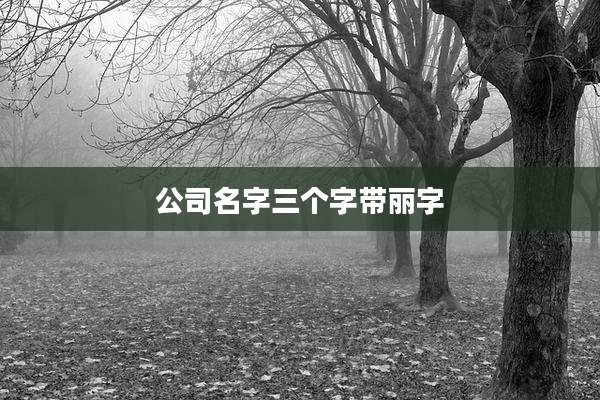 公司名字三个字带丽字