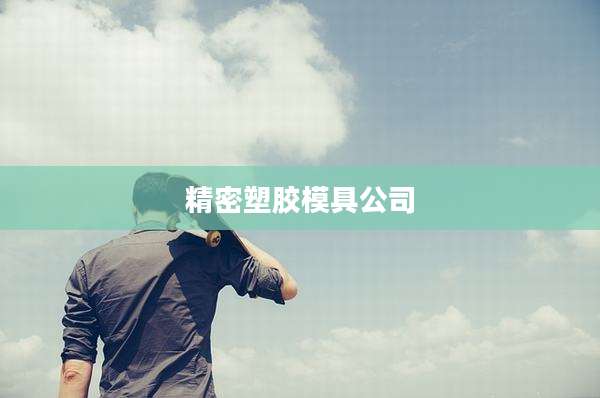 精密塑胶模具公司
