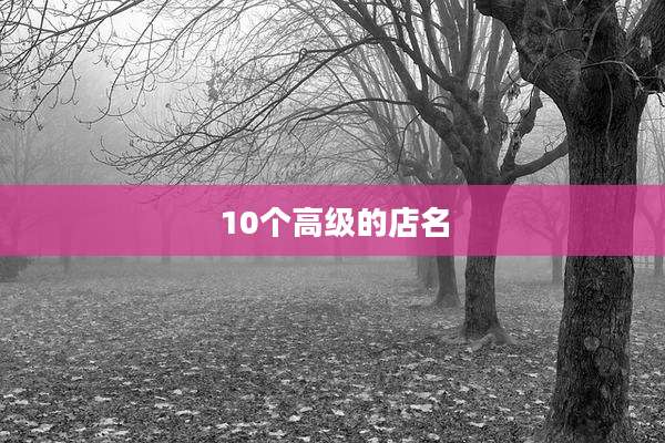 10个高级的店名