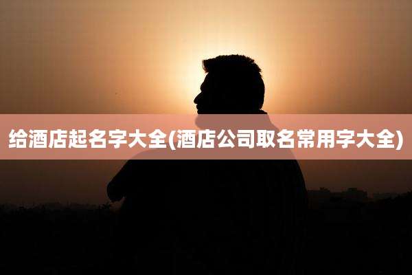 给酒店起名字大全(酒店公司取名常用字大全)