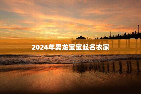 2024年男龙宝宝起名衣家