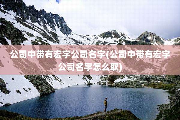 公司中带有宏字公司名字(公司中带有宏字公司名字怎么取)