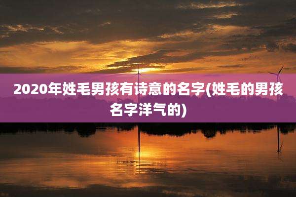 2020年姓毛男孩有诗意的名字(姓毛的男孩名字洋气的)