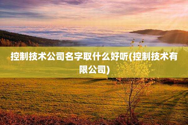 控制技术公司名字取什么好听(控制技术有限公司)