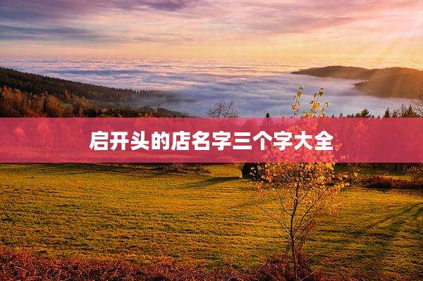 启开头的店名字三个字大全