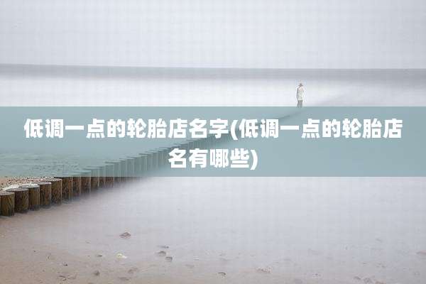 低调一点的轮胎店名字(低调一点的轮胎店名有哪些)