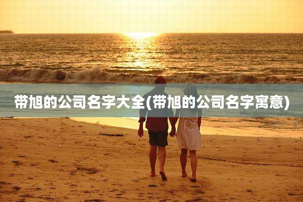 带旭的公司名字大全(带旭的公司名字寓意)