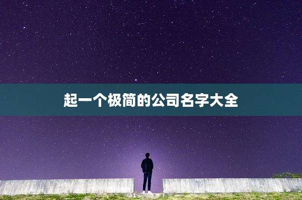 起一个极简的公司名字大全