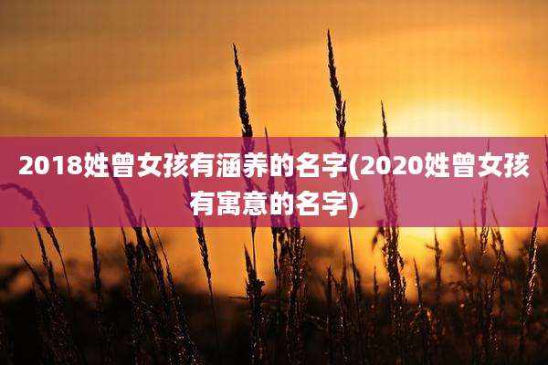 2018姓曾女孩有涵养的名字(2020姓曾女孩有寓意的名字)
