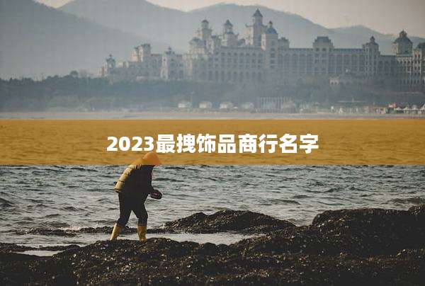 2023最拽饰品商行名字