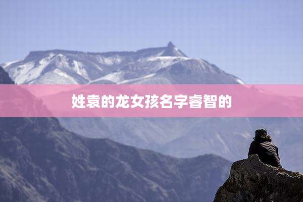 姓袁的龙女孩名字睿智的