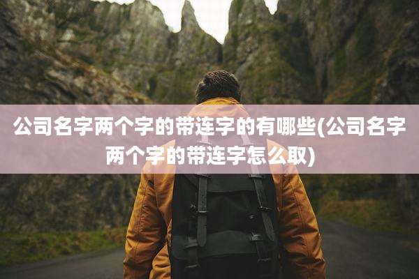公司名字两个字的带连字的有哪些(公司名字两个字的带连字怎么取)