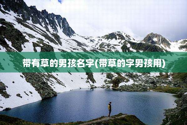 带有草的男孩名字(带草的字男孩用)