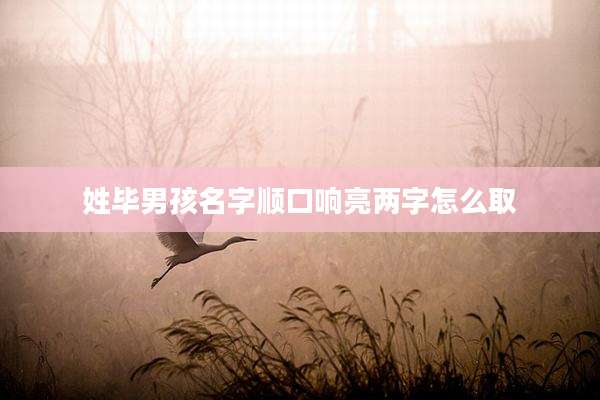 姓毕男孩名字顺口响亮两字怎么取