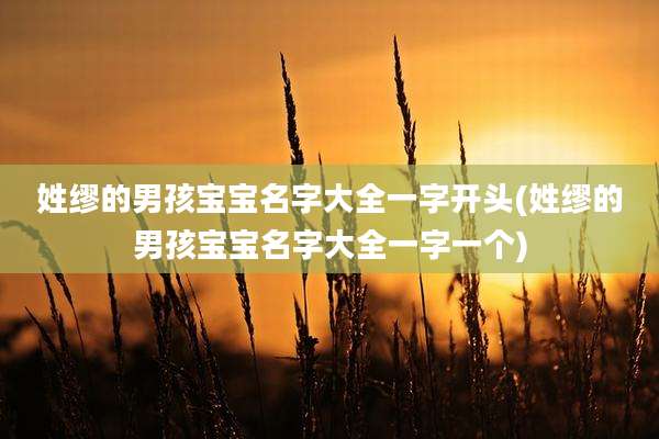姓缪的男孩宝宝名字大全一字开头(姓缪的男孩宝宝名字大全一字一个)