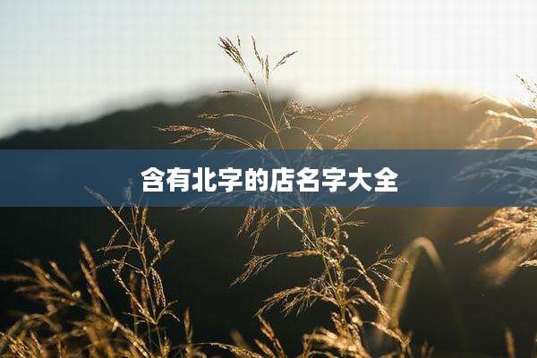含有北字的店名字大全