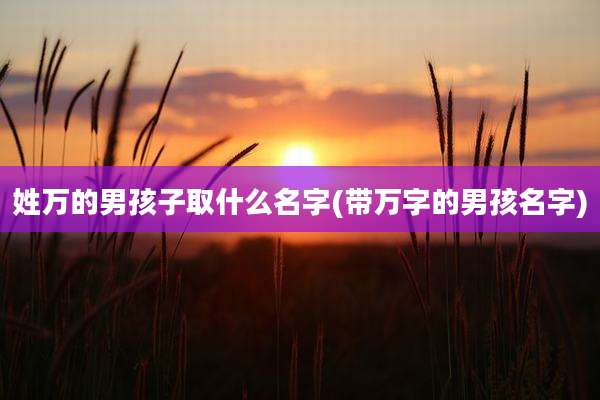 姓万的男孩子取什么名字(带万字的男孩名字)