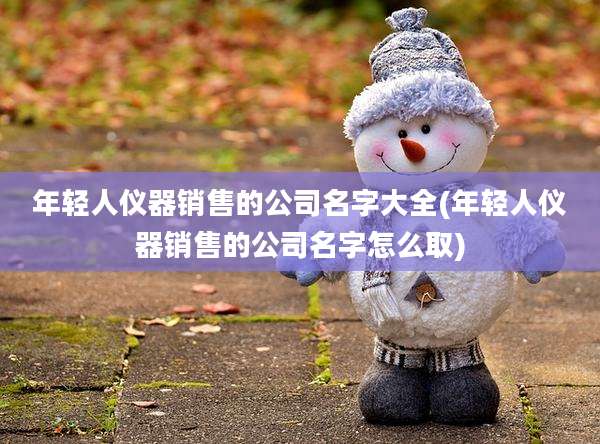 年轻人仪器销售的公司名字大全(年轻人仪器销售的公司名字怎么取)