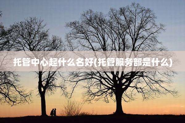 托管中心起什么名好(托管服务部是什么)