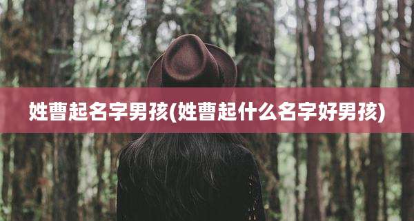 姓曹起名字男孩(姓曹起什么名字好男孩)