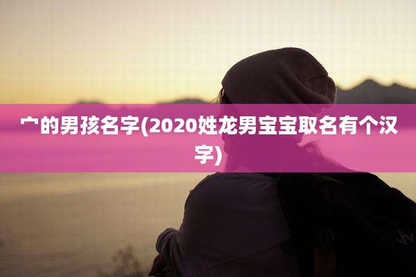 宀的男孩名字(2020姓龙男宝宝取名有个汉字)