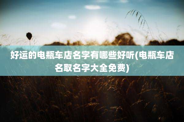 好运的电瓶车店名字有哪些好听(电瓶车店名取名字大全免费)